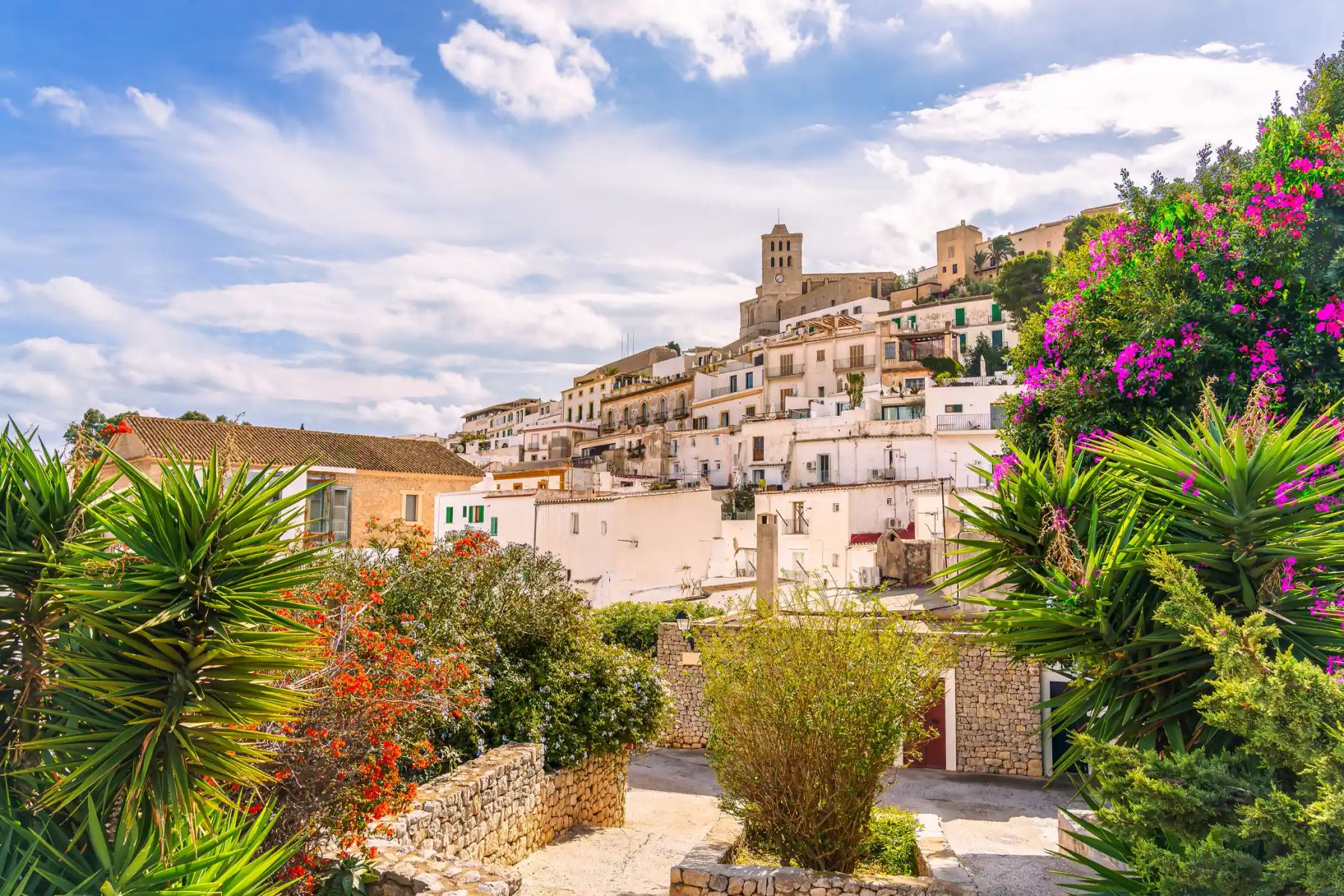A sunny view of a hillside town with white buildings and a stone church, framed by bright tropical flowers and greenery.