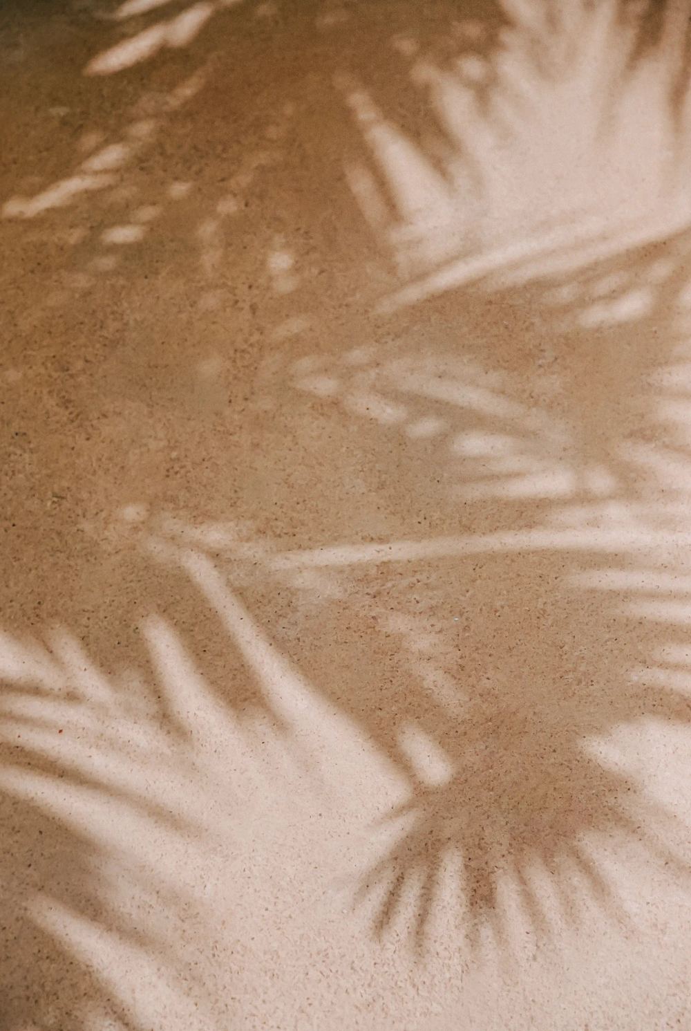 A minimalist aesthetic showing the shadow of palm leaves on a warm, textured beige surface.