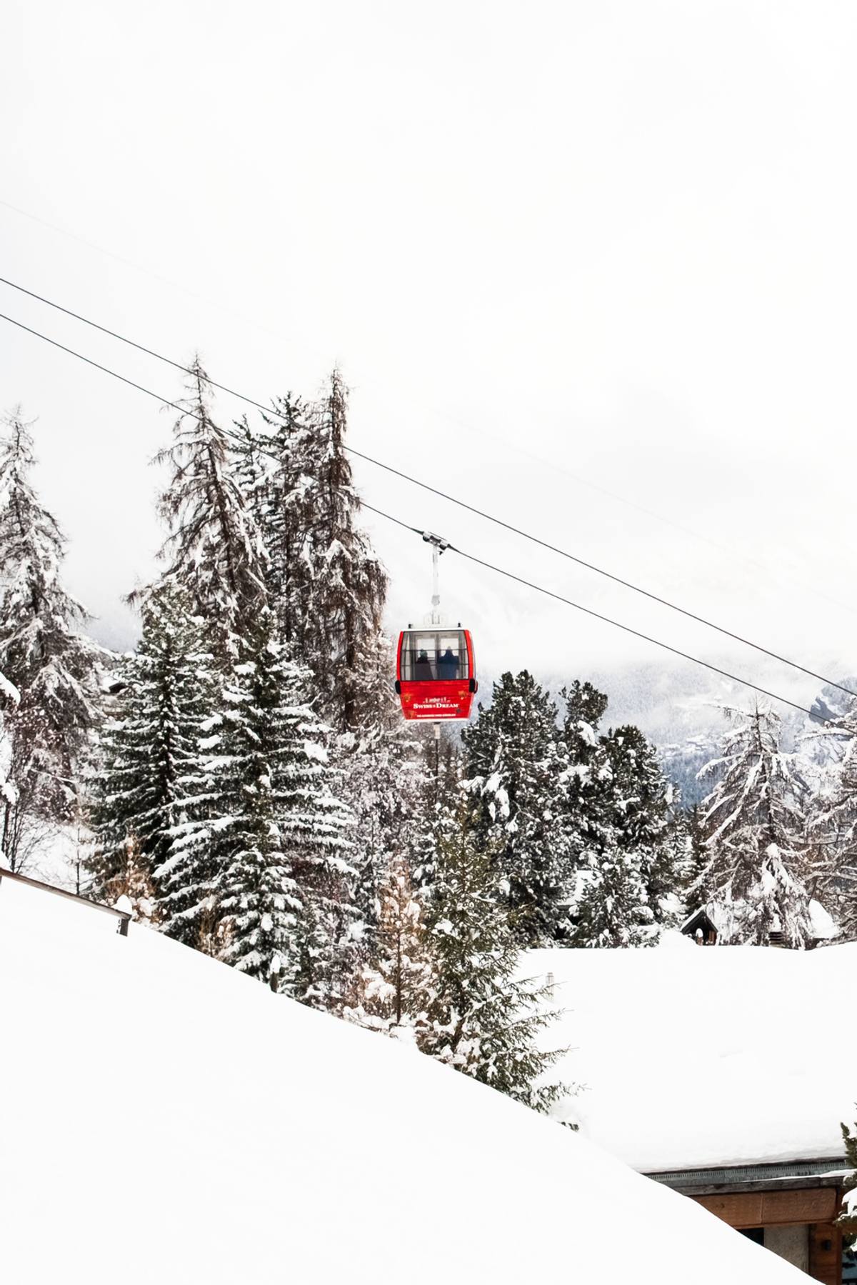 A small red cable car passes tall snow-covered trees, with a white slope and mountain ridge in the background.