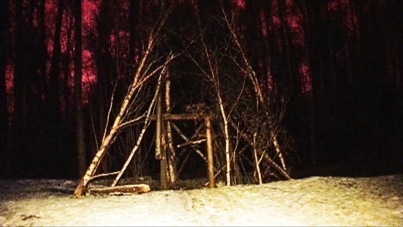 A shelter of leaning birch trunks in a snowy forest at night