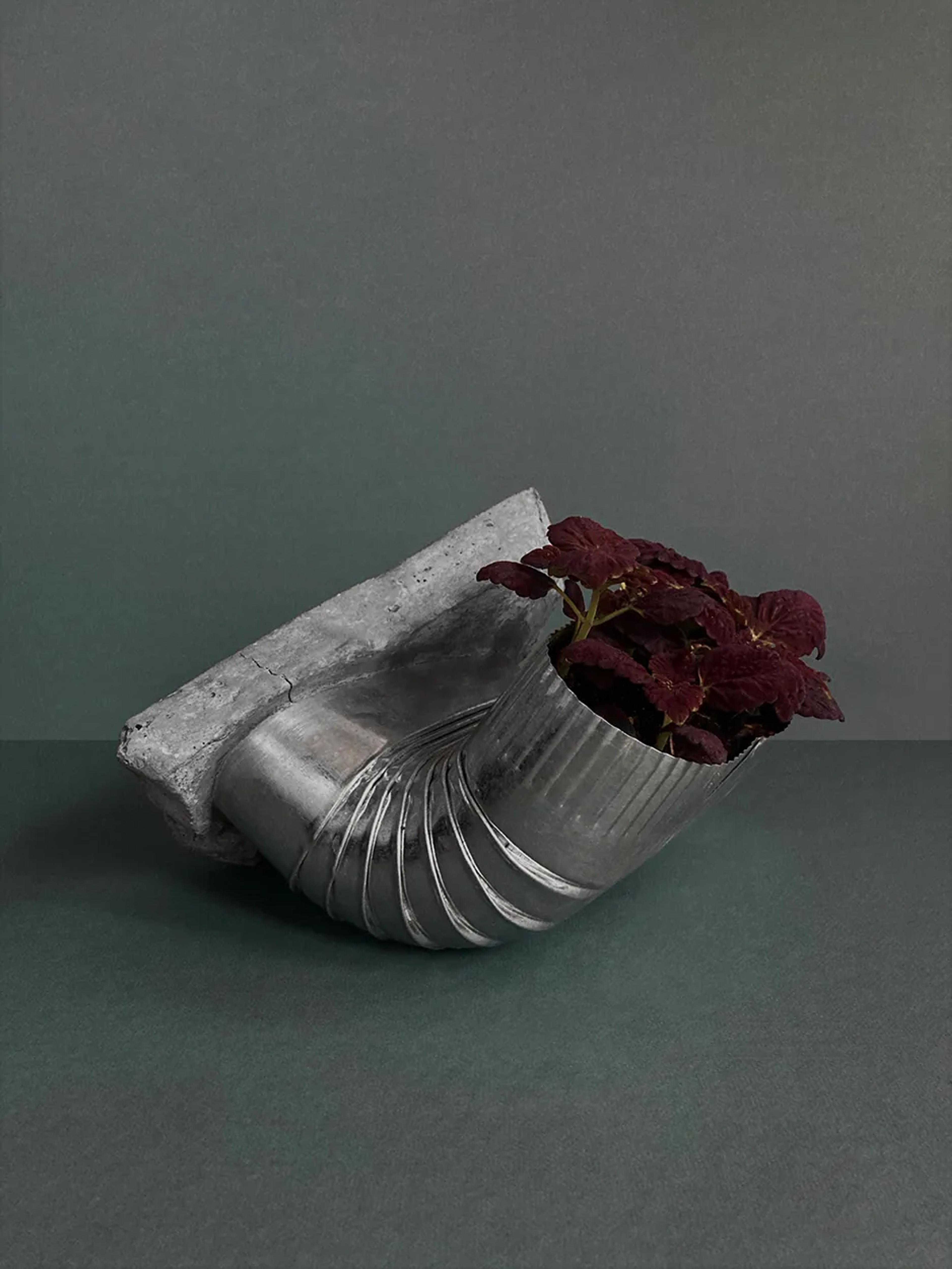 Beautiful Compromise — a concrete planter fused with a corrugated metal spout, planted, view 1 of 2