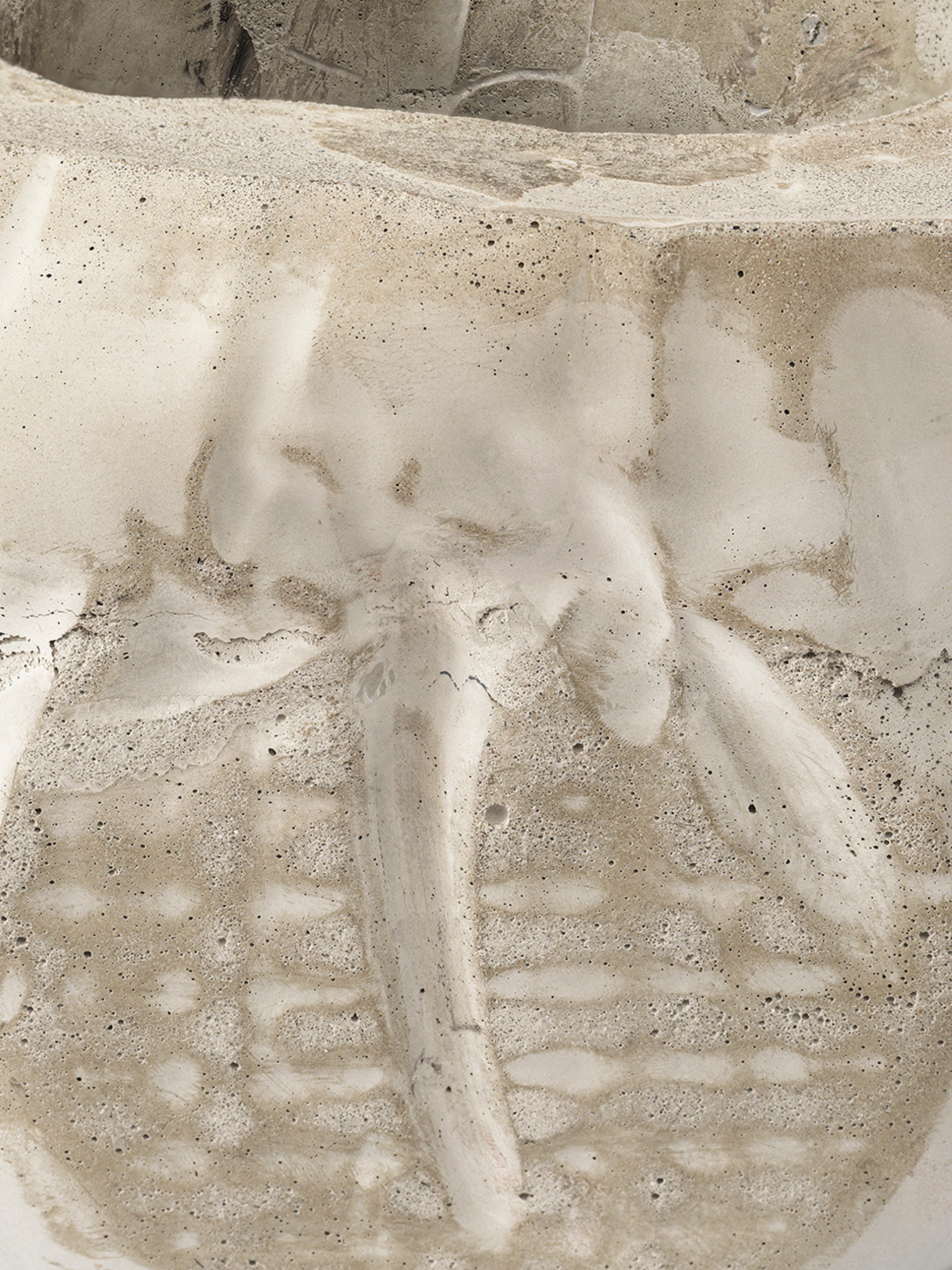 single line, three-quarter view with the dark band sweeping across the lower wallsingle line, three-quarter view with the dark band sweeping across the lower wall, detail view of the concrete texture, view 10 of 12