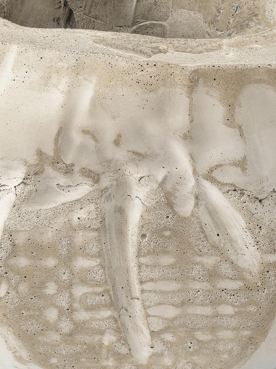 single line, three-quarter view with the dark band sweeping across the lower wallsingle line, three-quarter view with the dark band sweeping across the lower wall, detail view of the concrete texture, view 10 of 12