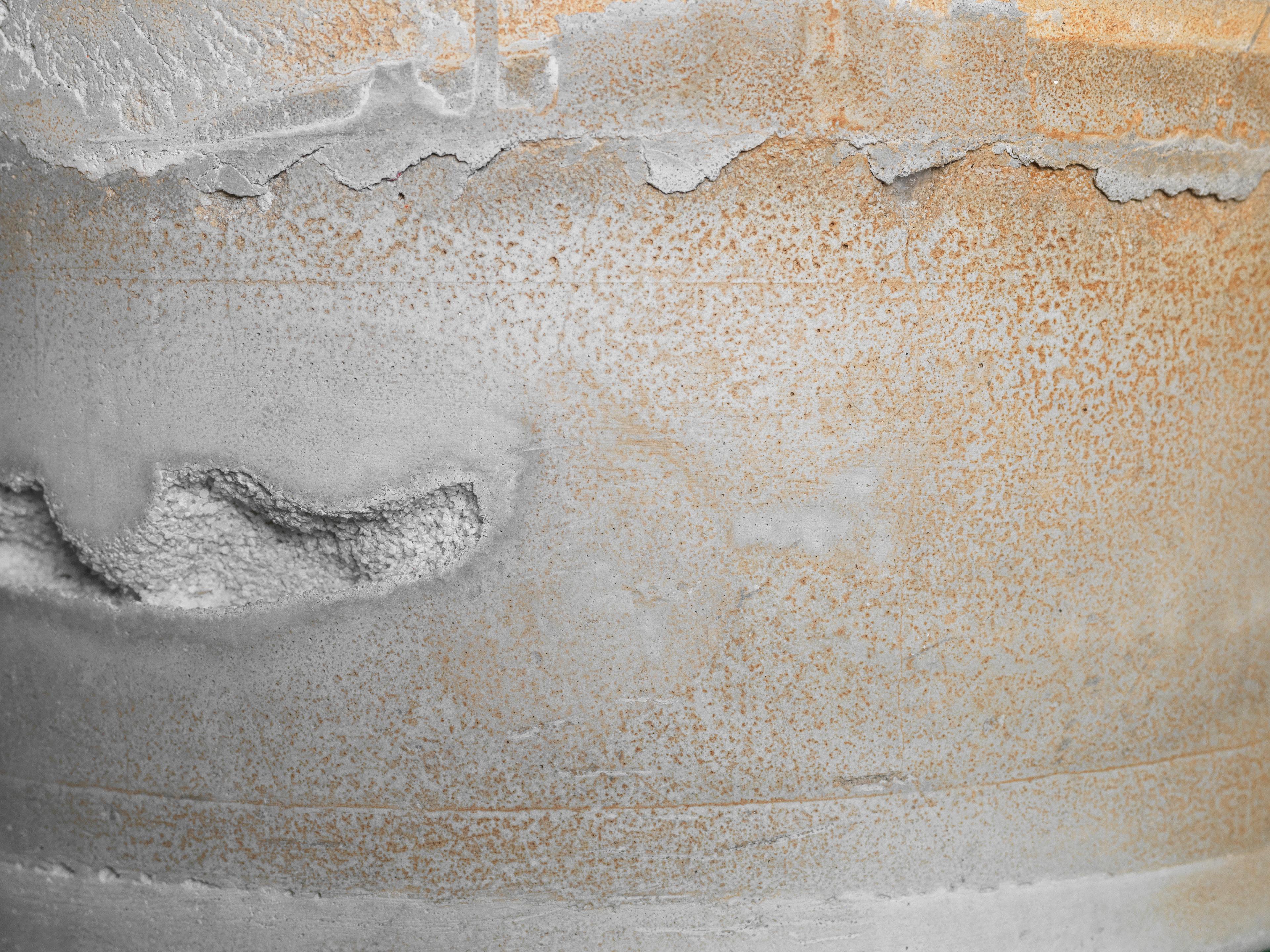 Concrete Planter #7 — surface detail of a concrete planter with D-rings, planted, view 5 of 6