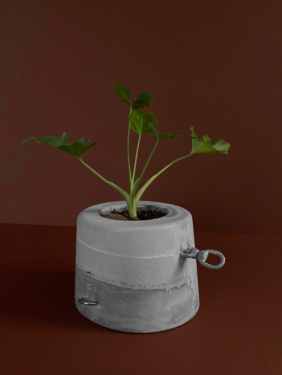 yet untitled — a bucket-shaped concrete planter with D-rings, planted, view 2 of 3