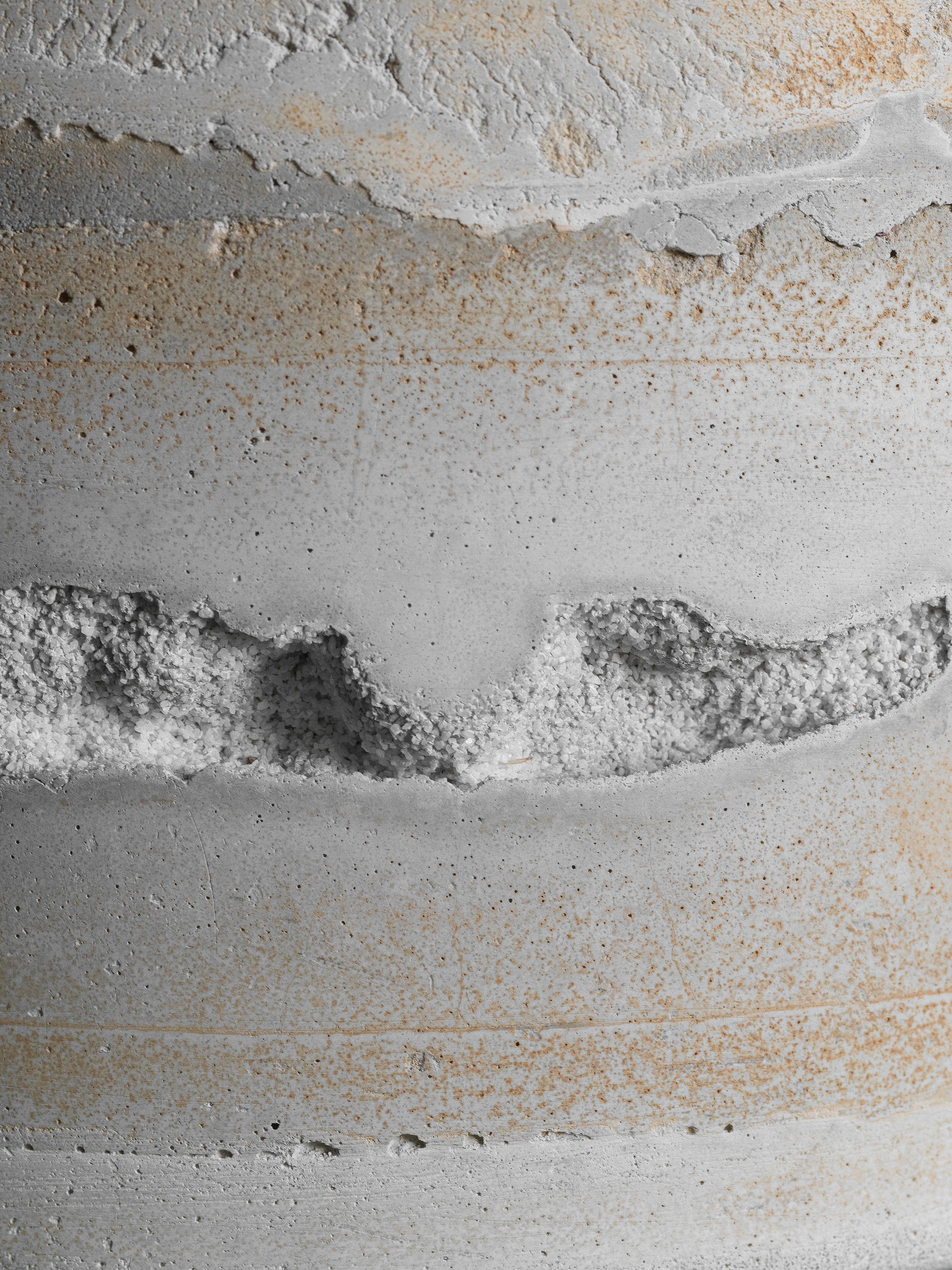 Concrete Planter #7 — surface detail of a concrete planter with D-rings, planted, view 2 of 6