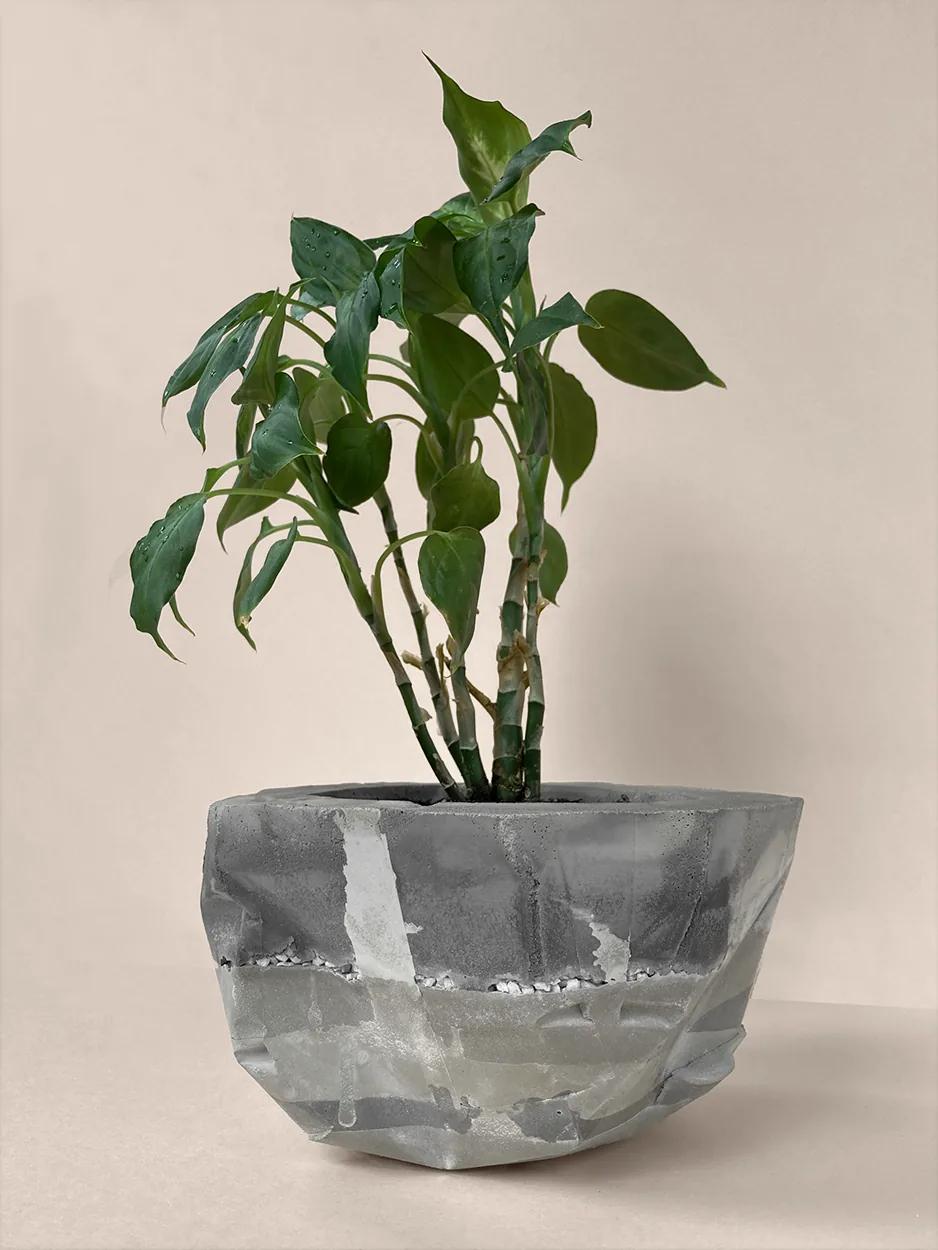All the Layers — a faceted concrete planter, planted, view 4 of 5