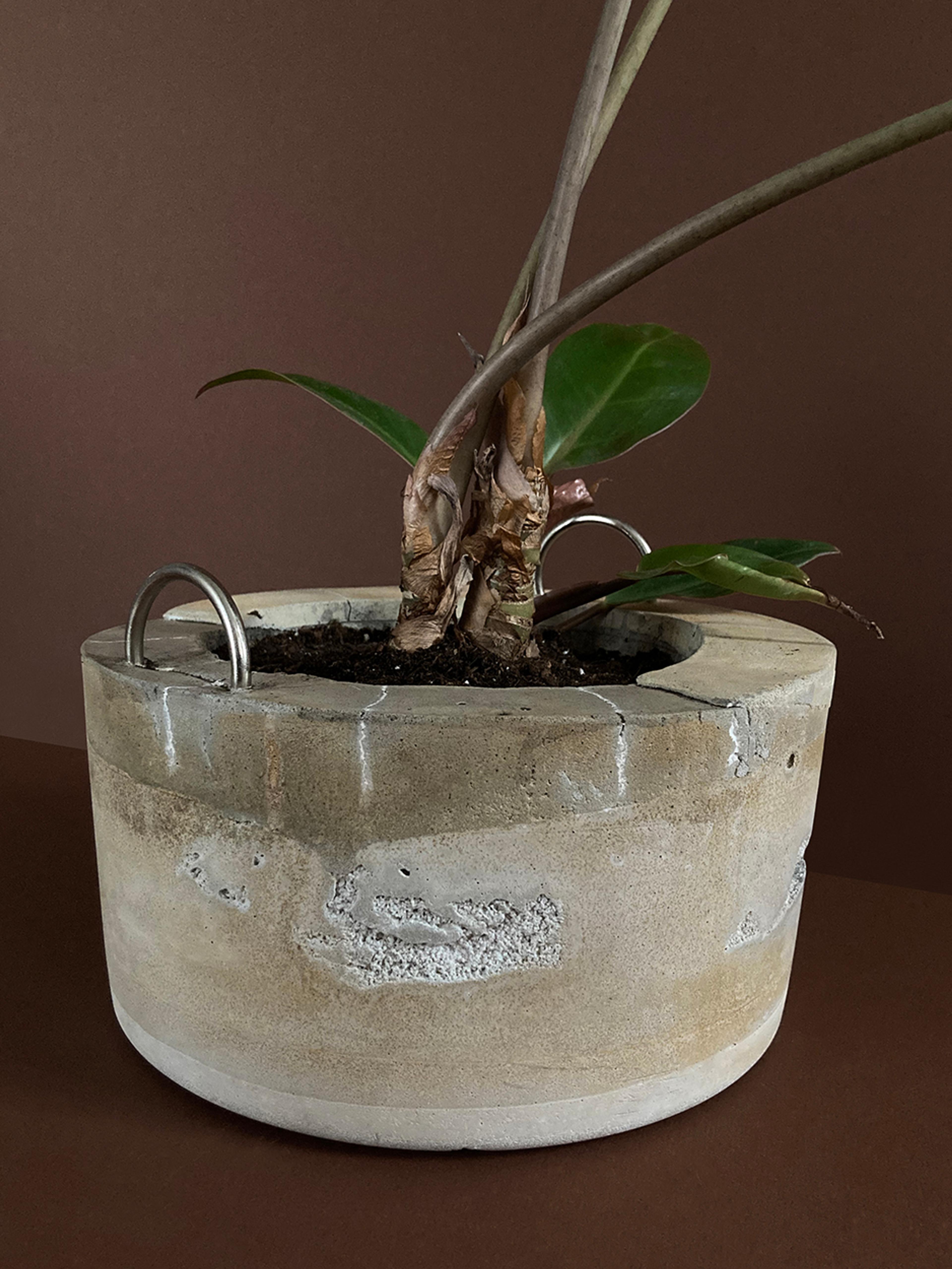 Concrete Planter #7 — a concrete planter with D-rings, planted, view 1 of 4