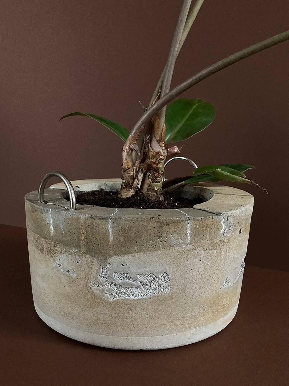 Concrete Planter #7 — a concrete planter with D-rings, planted, view 1 of 6