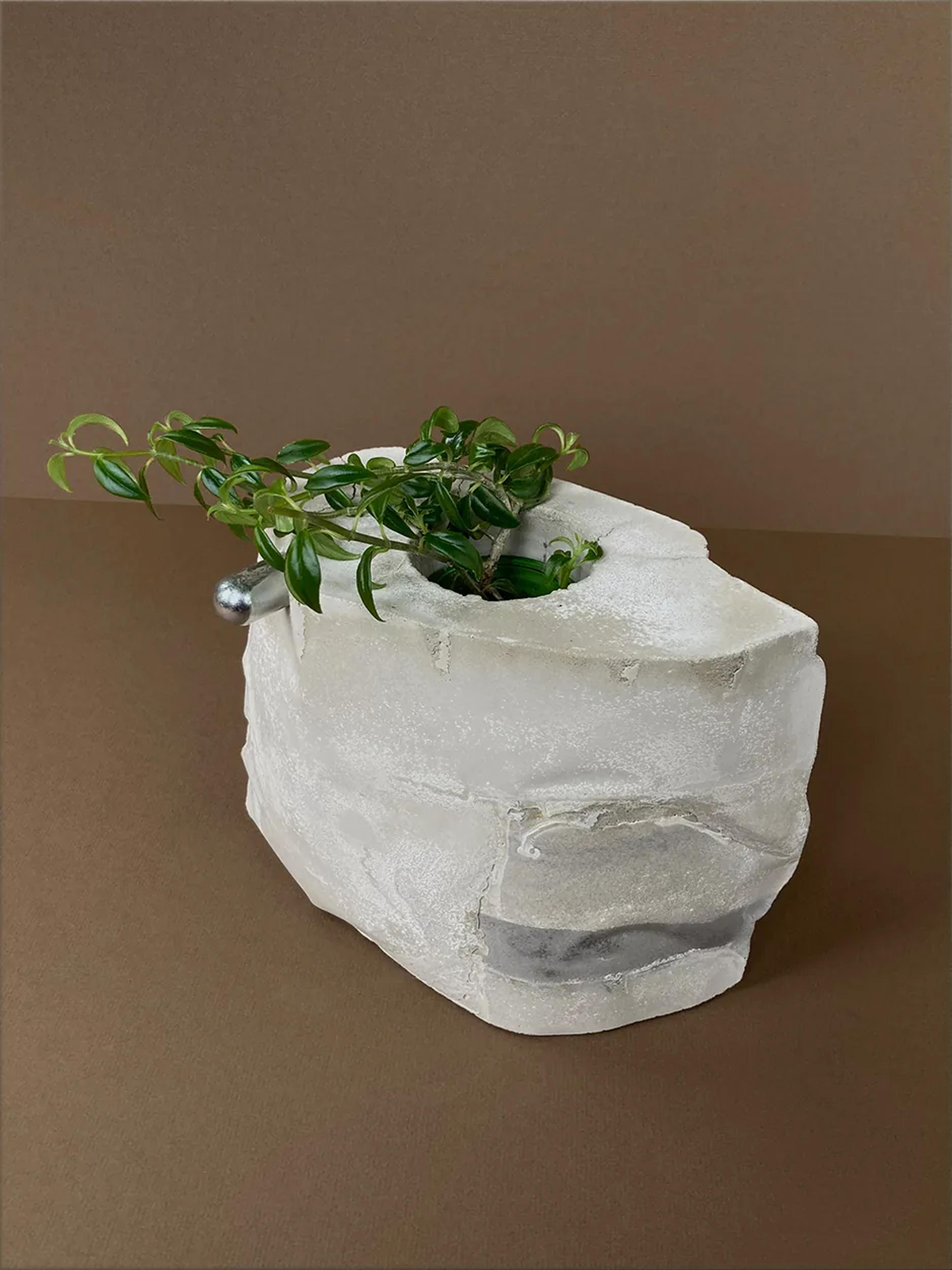 MOTHER — an irregular concrete planter with a single hardware knob, planted with a trailing vine, view 2 of 3