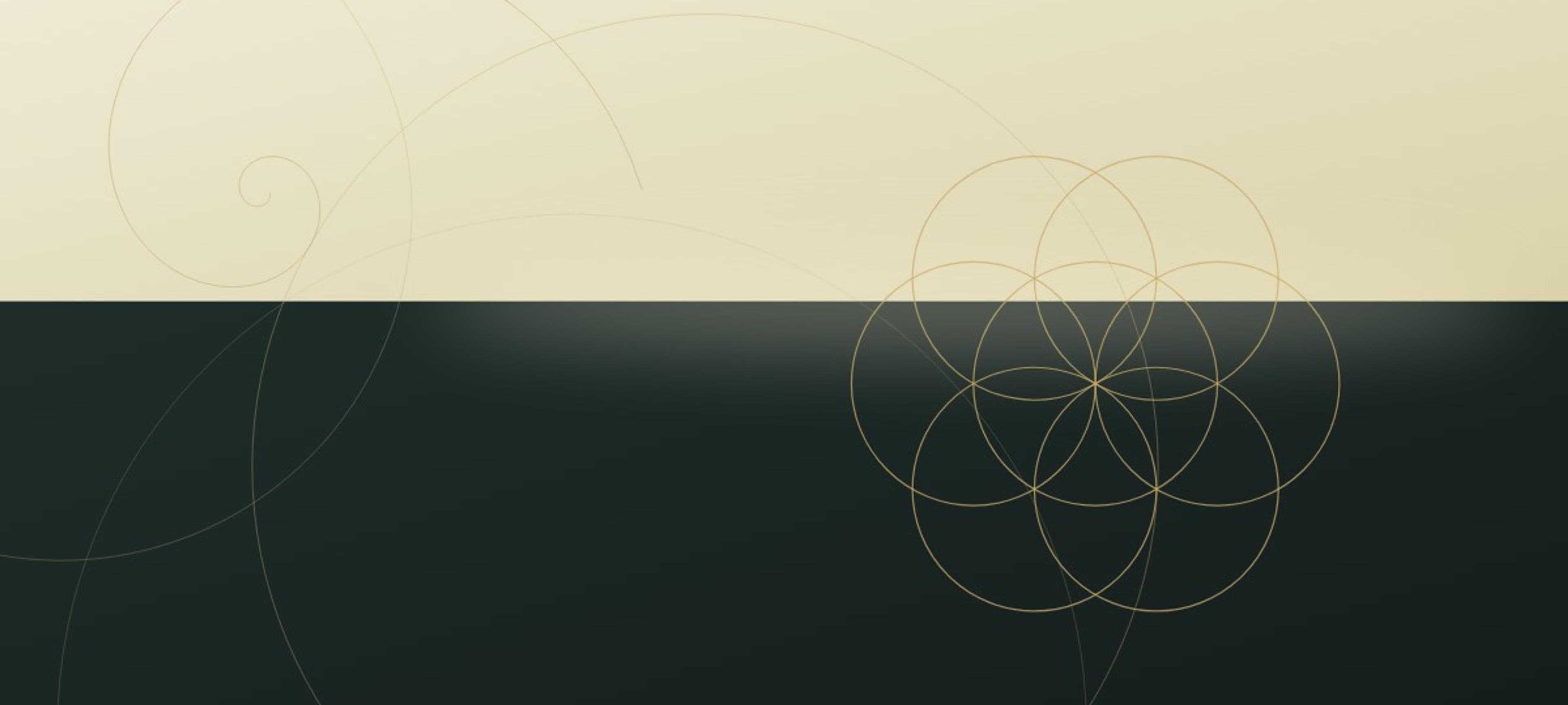 The Molecule as Mirror, Part 6: The Pause Protocol