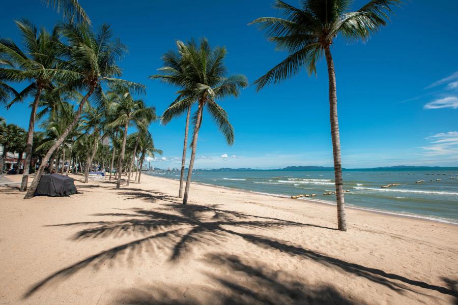 Coconut palms casting long shadows across the sand at Jomtien Beach, with calm sea and blue sky beyond.