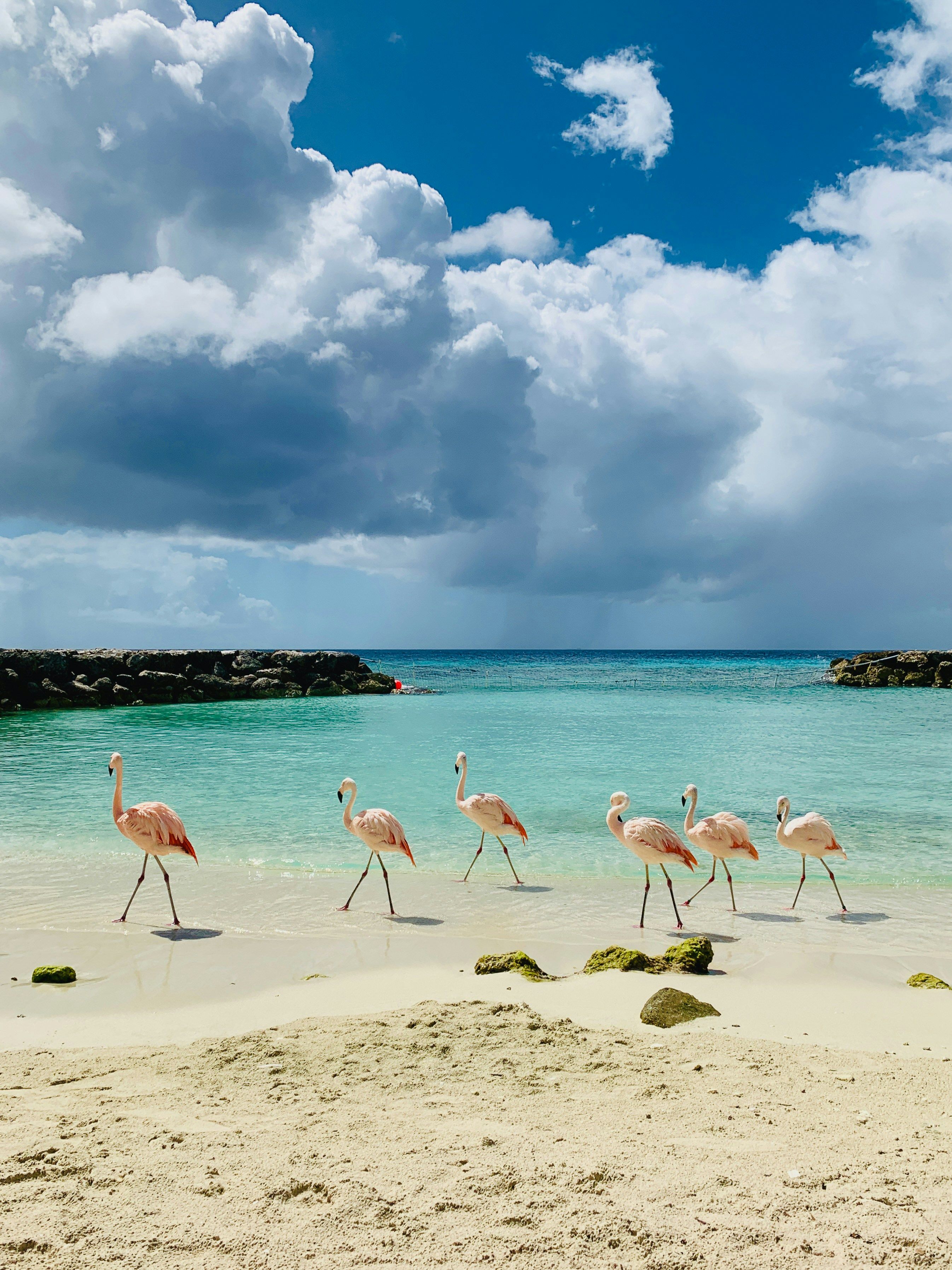 Caribe