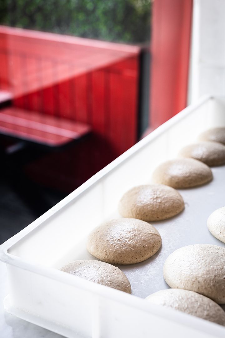 Dough balls proving in a tray
