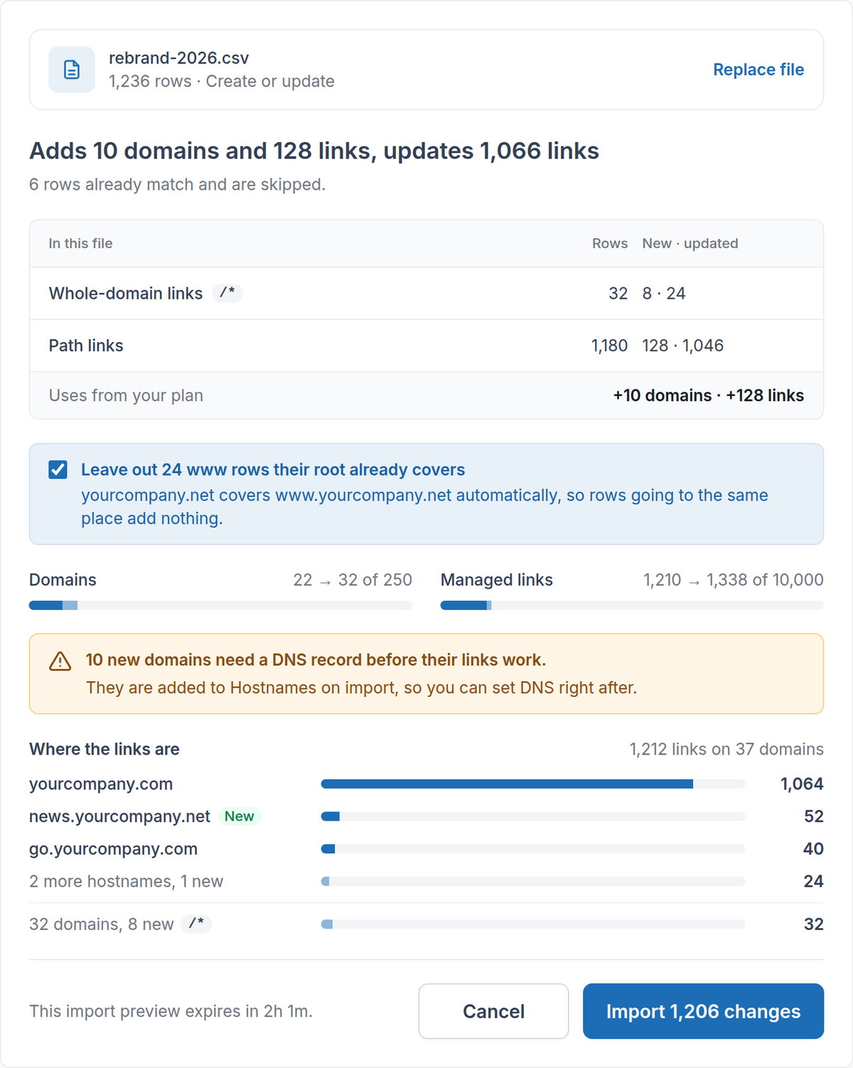 CSV import review: what the file adds and updates, plan capacity before and after, www rows left out, and where the links are