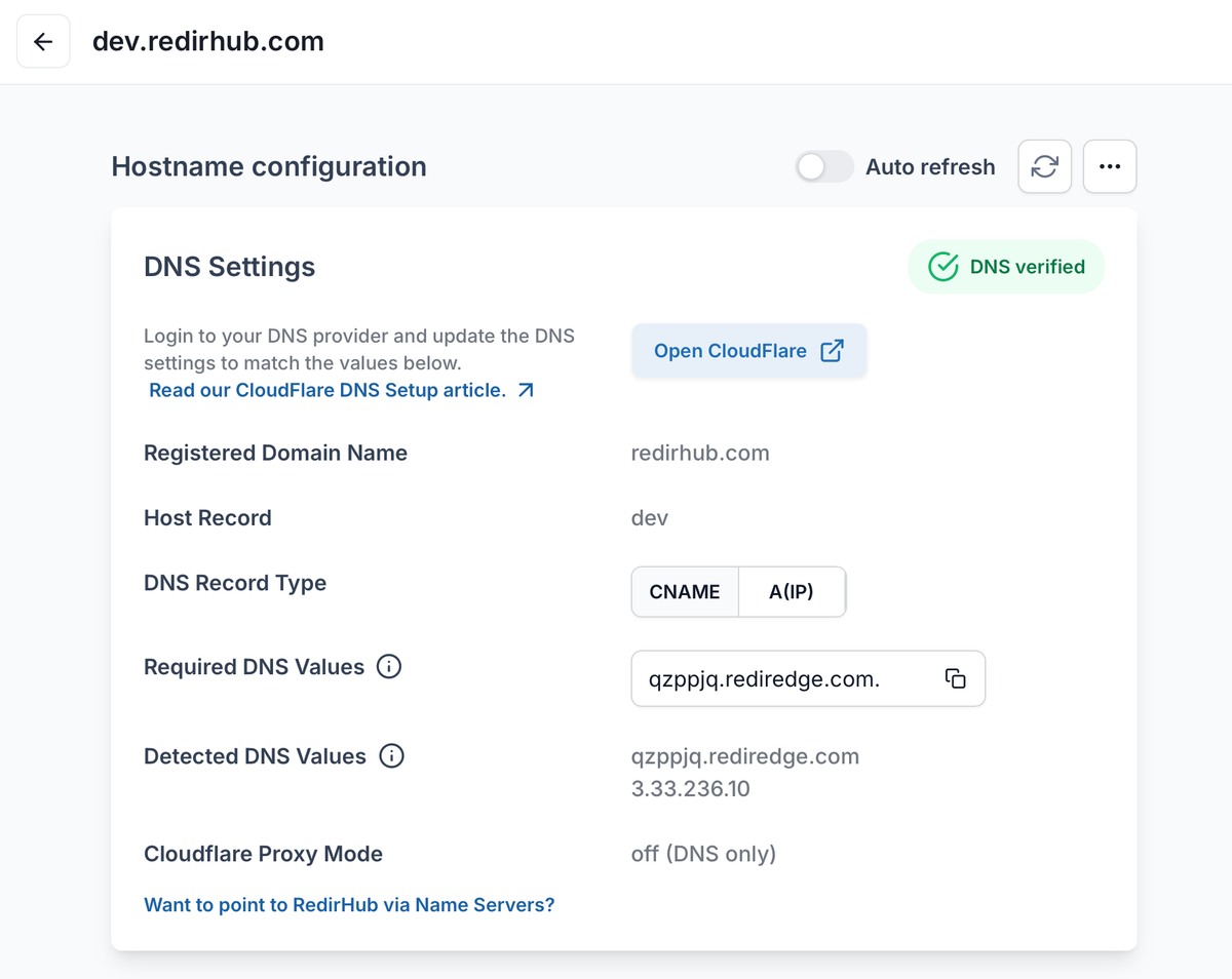 RedirHub hostname configuration showing required DNS and TXT verification records