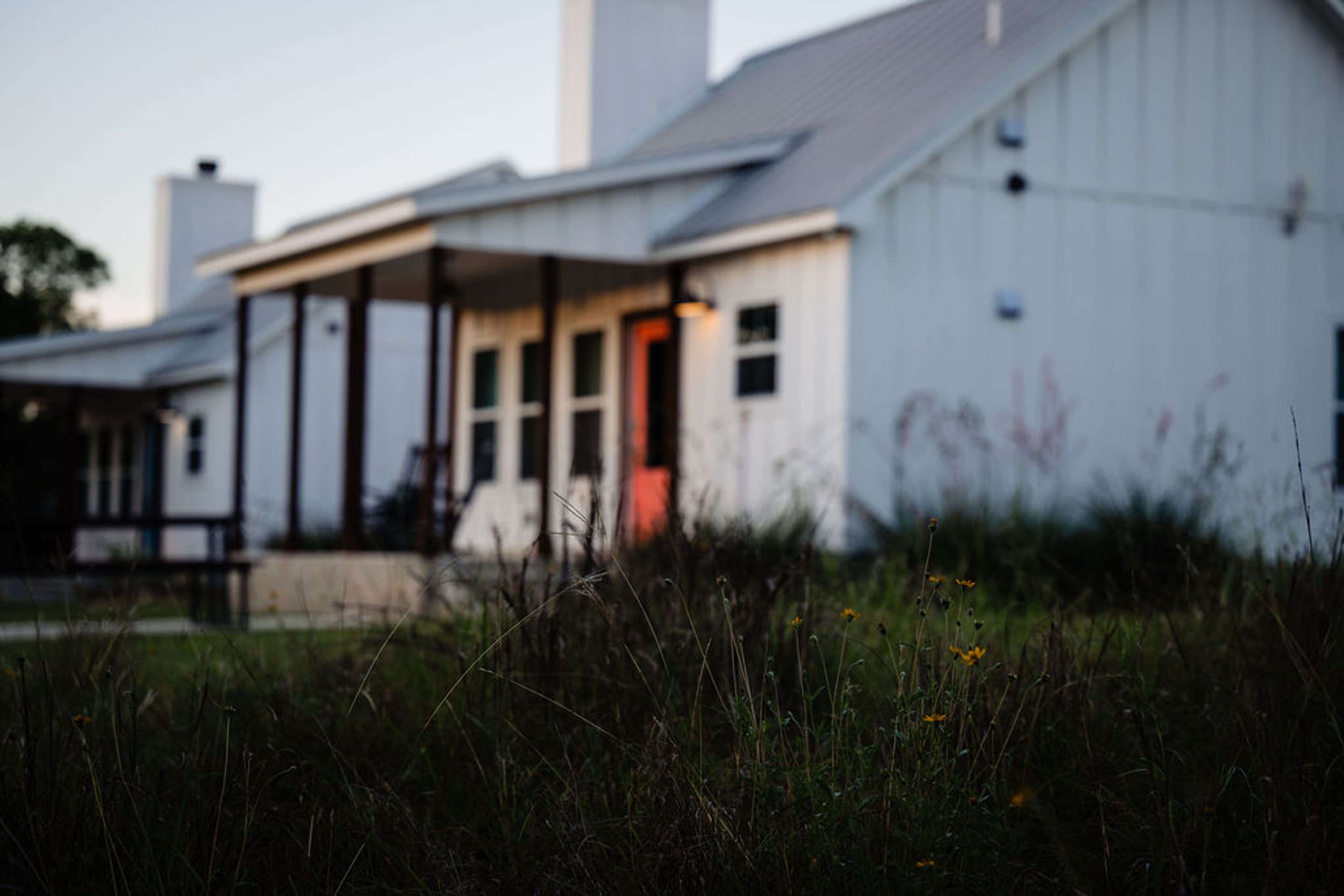 Yellow wildflowers blooming in front of a farmhouse cottage at Wayside Wimberley at dusk