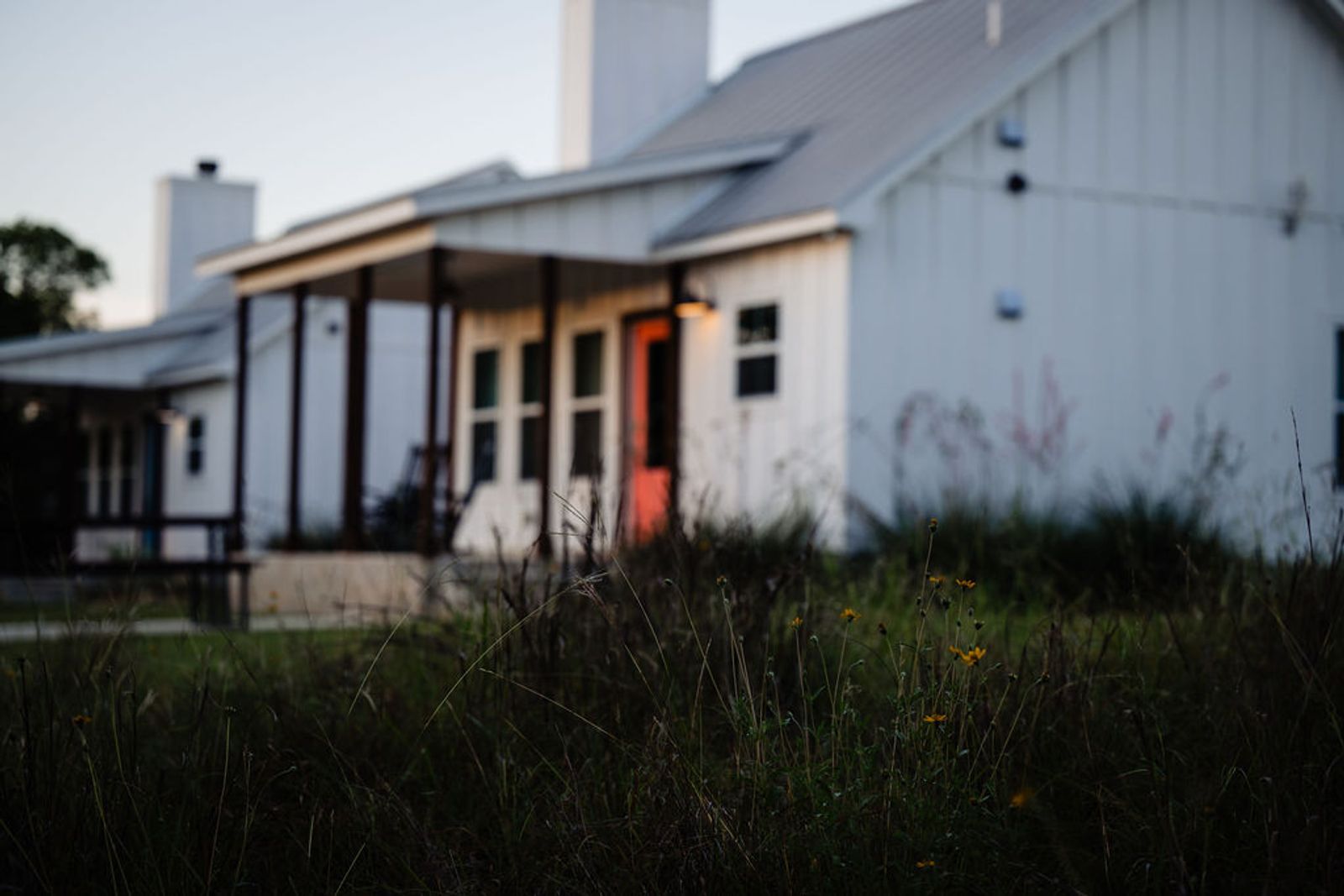 Yellow wildflowers blooming in front of a farmhouse cottage at Wayside Wimberley at dusk