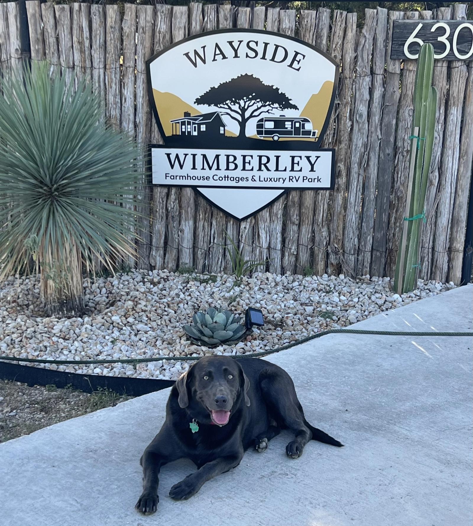 Bobbie Jean, a charcoal Labrador, lying on the drive beneath the Wayside Wimberley entrance sign