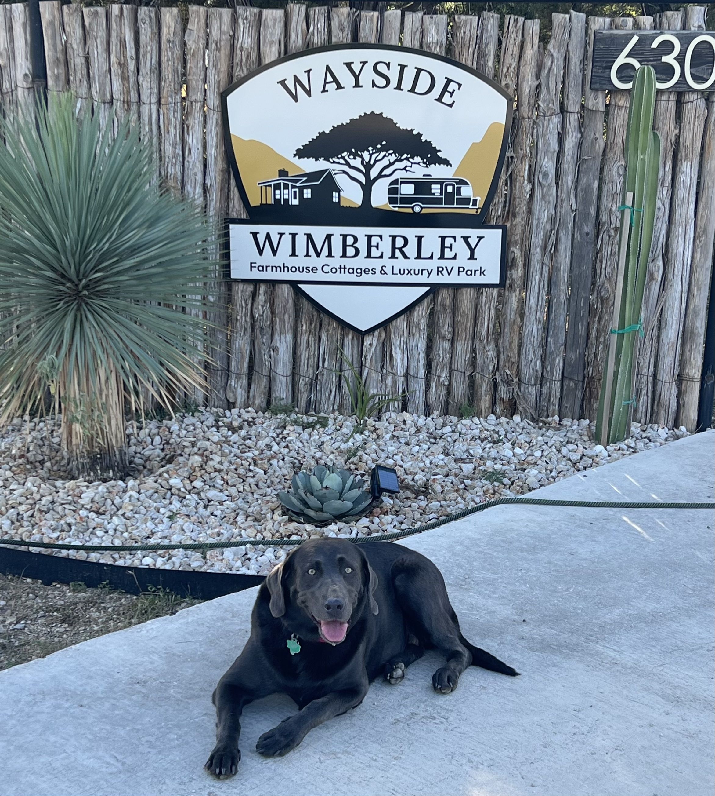 Bobbie Jean, a charcoal Labrador, lying on the drive beneath the Wayside Wimberley entrance sign