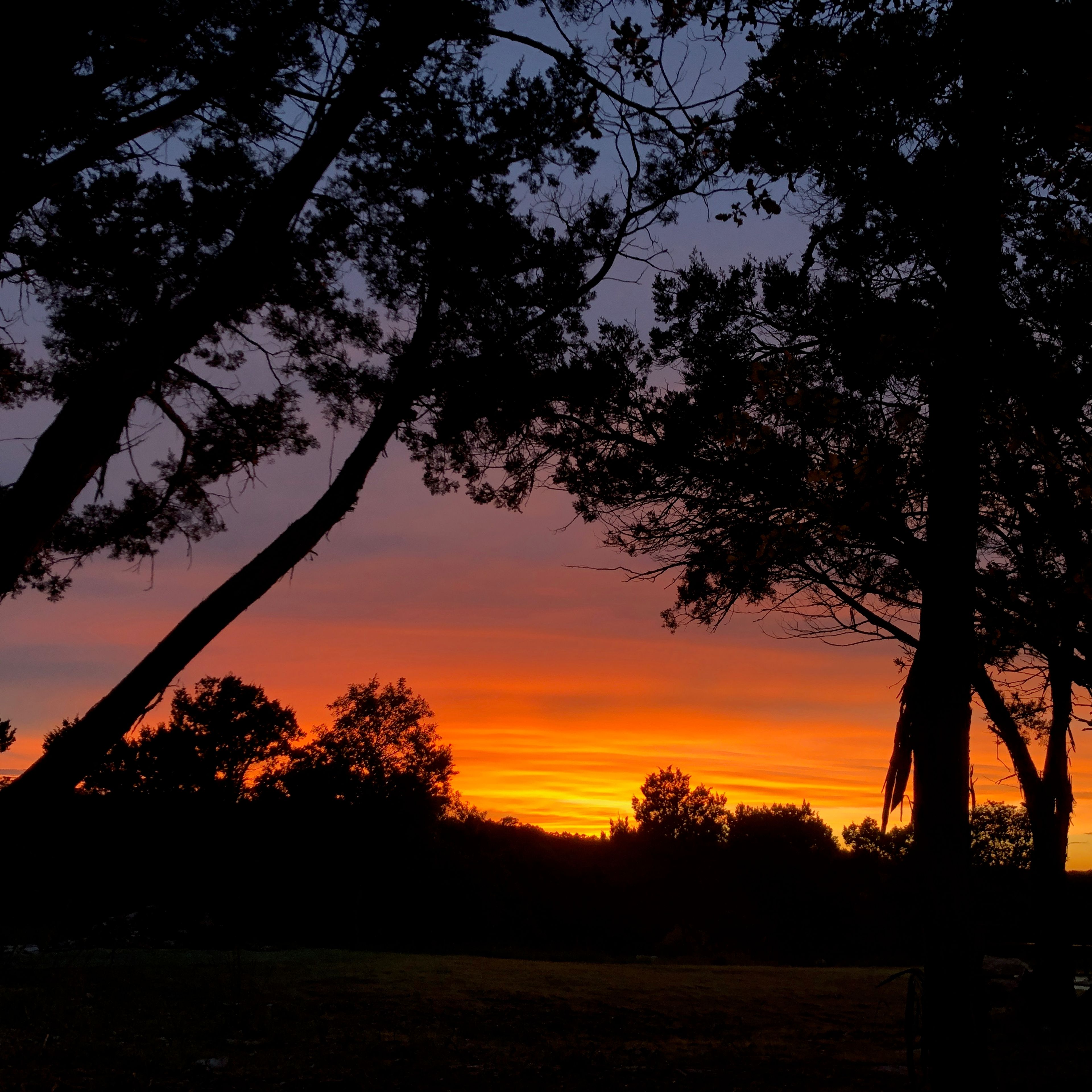 An orange and purple sunset seen through silhouetted cedar and oak trees at Wayside Wimberley