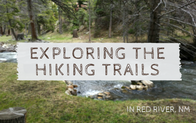 Exploring the Hiking Trails in Red River, NM
