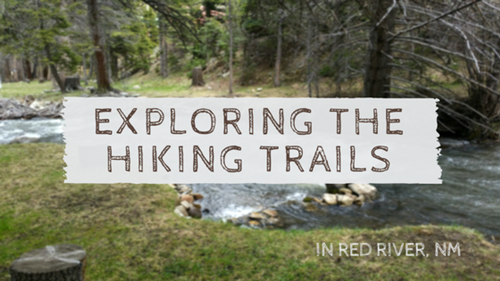 Exploring the Hiking Trails in Red River, NM