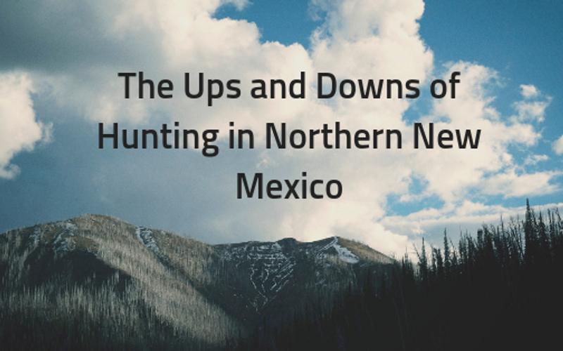 The Ups and Downs of Hunting in Northern New Mexico