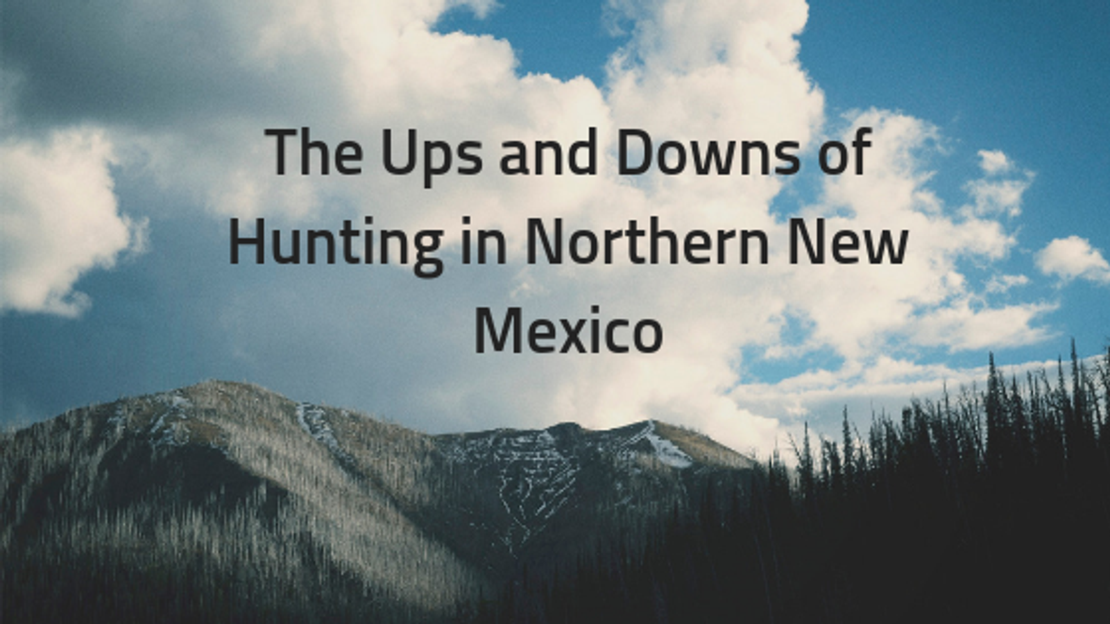 The Ups and Downs of Hunting in Northern New Mexico