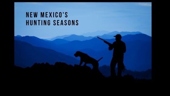 New Mexico’s Hunting Seasons