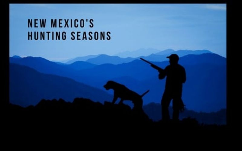 New Mexico’s Hunting Seasons