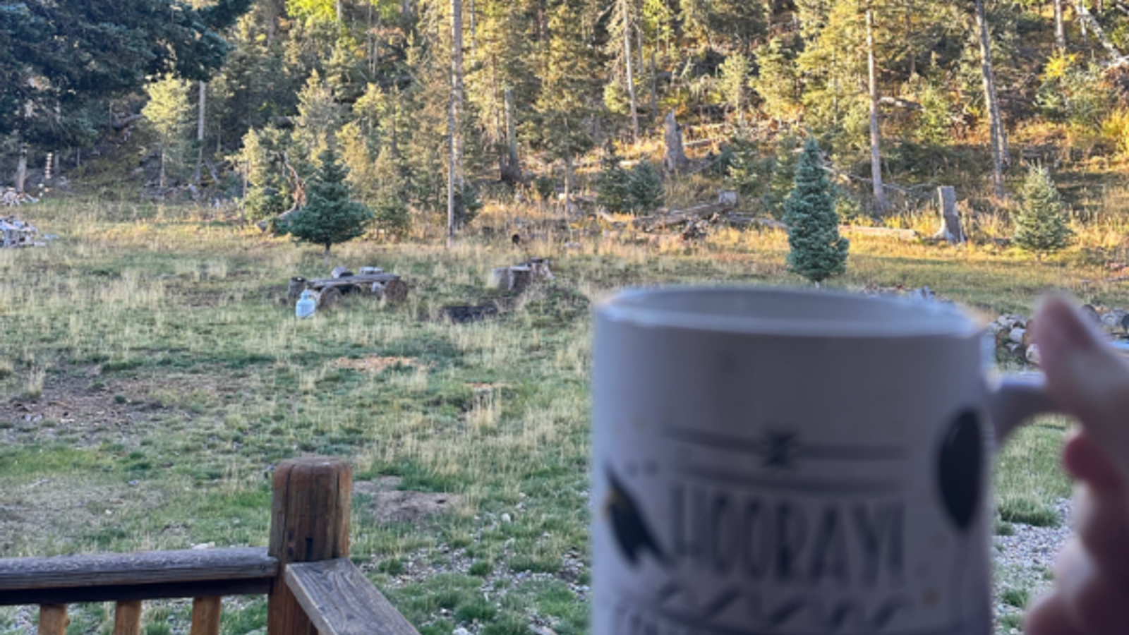 Your Weekend Guide to Red River, NM: 48 Hours of Mountain Fun, Food, and Local Favorites