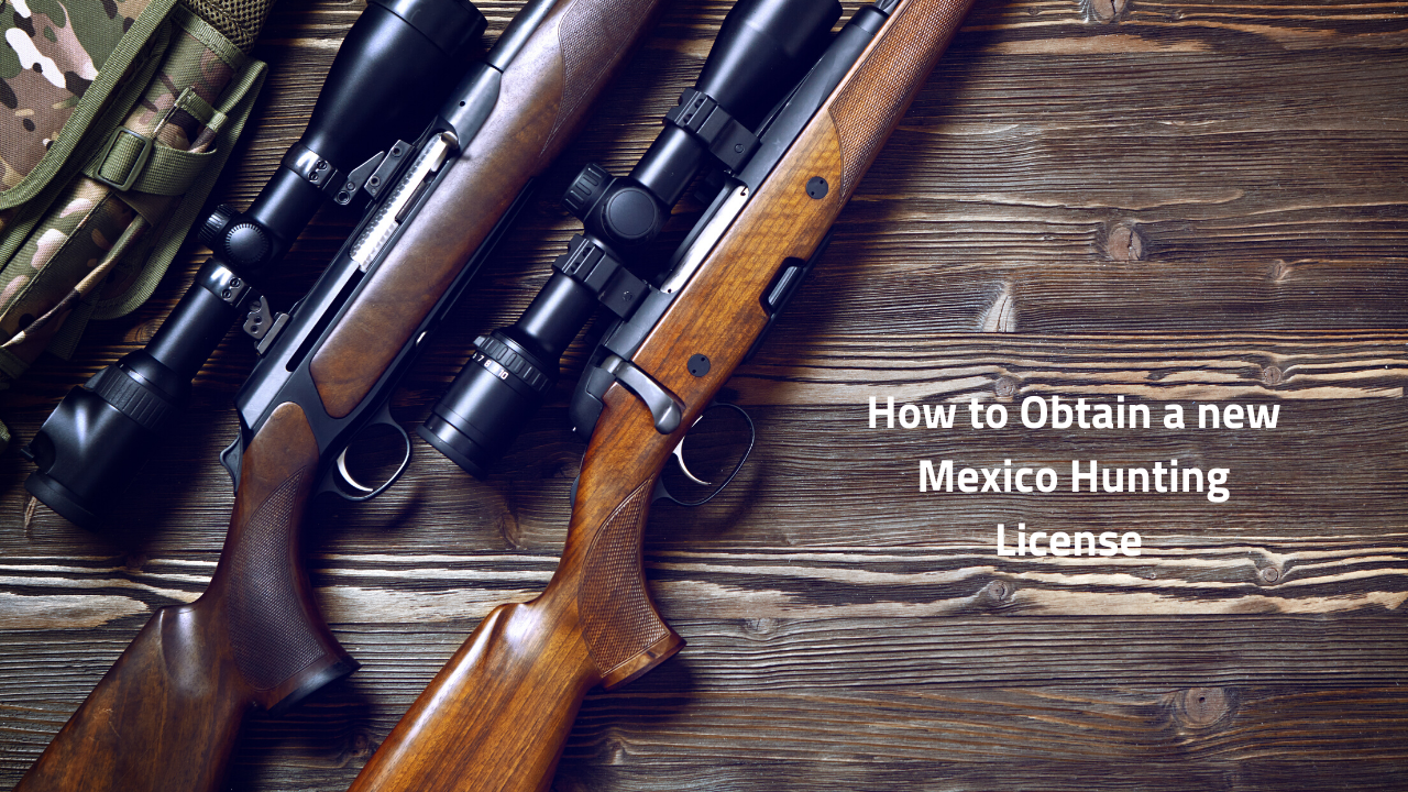 How to Obtain A New Mexico Hunting License