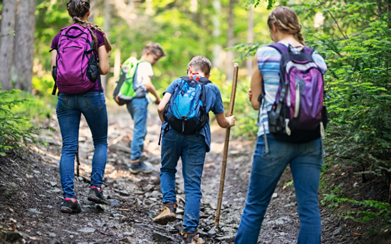 Find the Right Hiking Shoe for Your Mountain Adventure