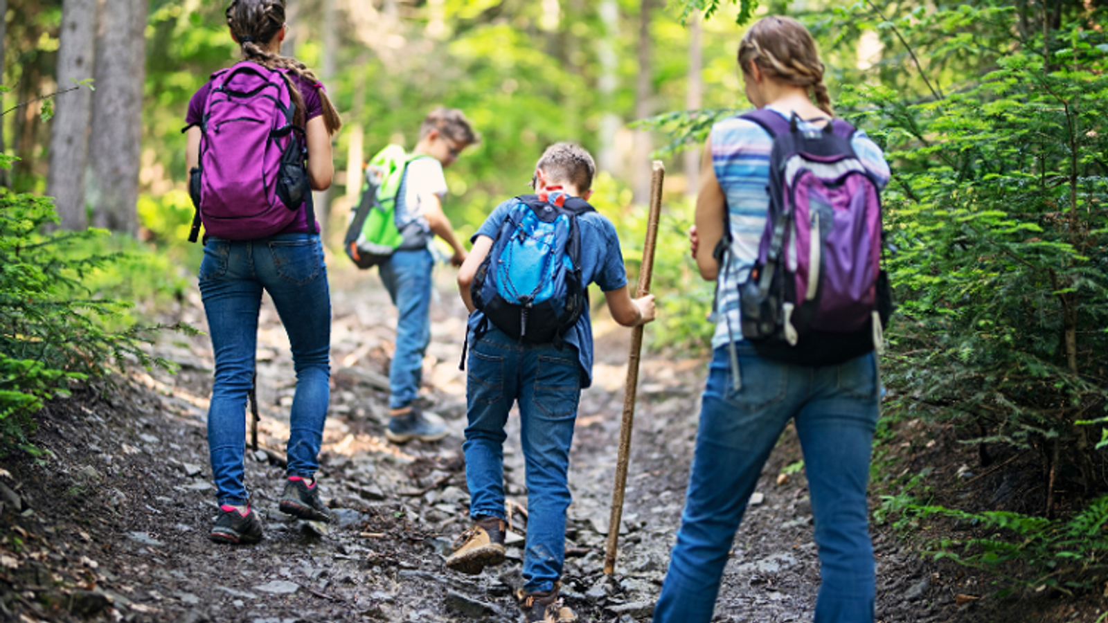 Find the Right Hiking Shoe for Your Mountain Adventure