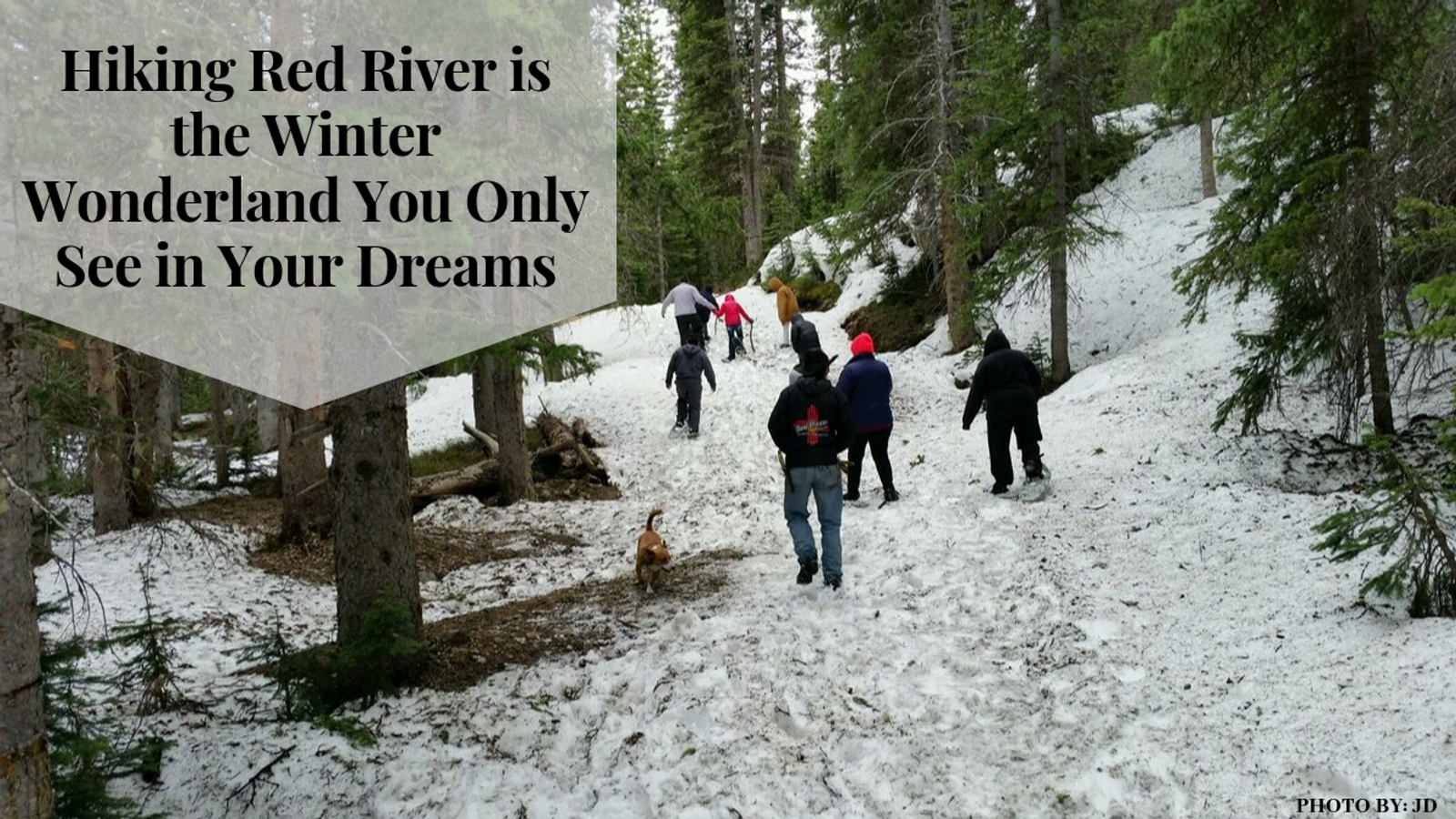 Hiking Red River is the Winter Wonderland You Only See in Your Dreams