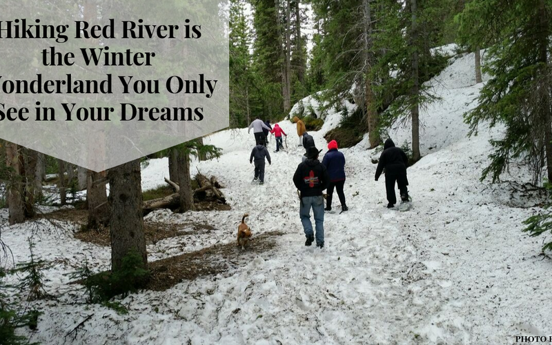 Hiking Red River is the Winter Wonderland You Only See in Your Dreams