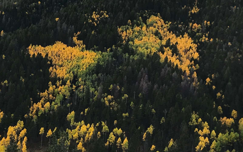 Visit Red River and See Butterfly Mountain