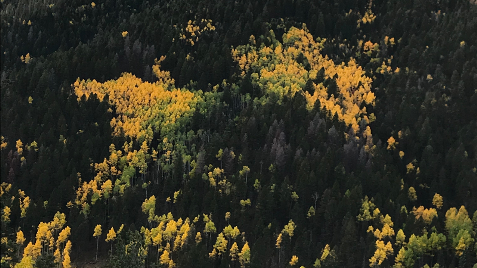 Visit Red River and See Butterfly Mountain