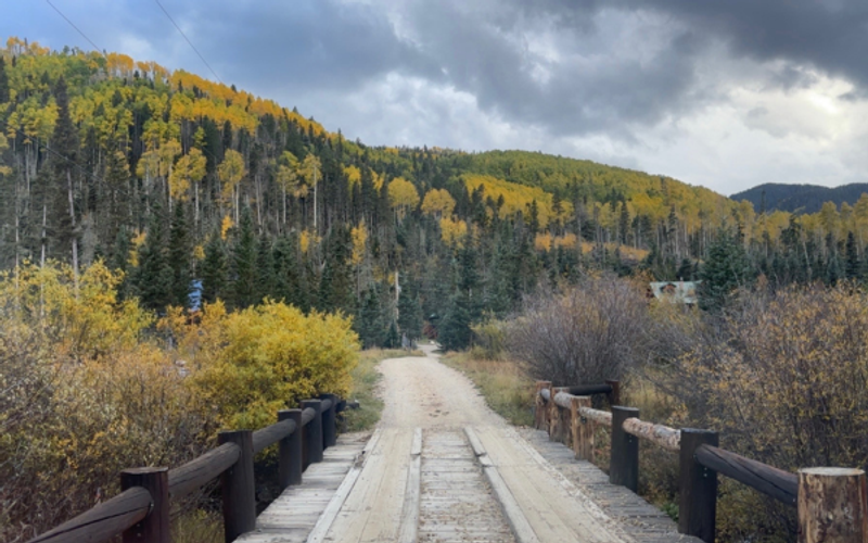Fall Foliage in Red River: Best Places and Dates to Catch the Colors