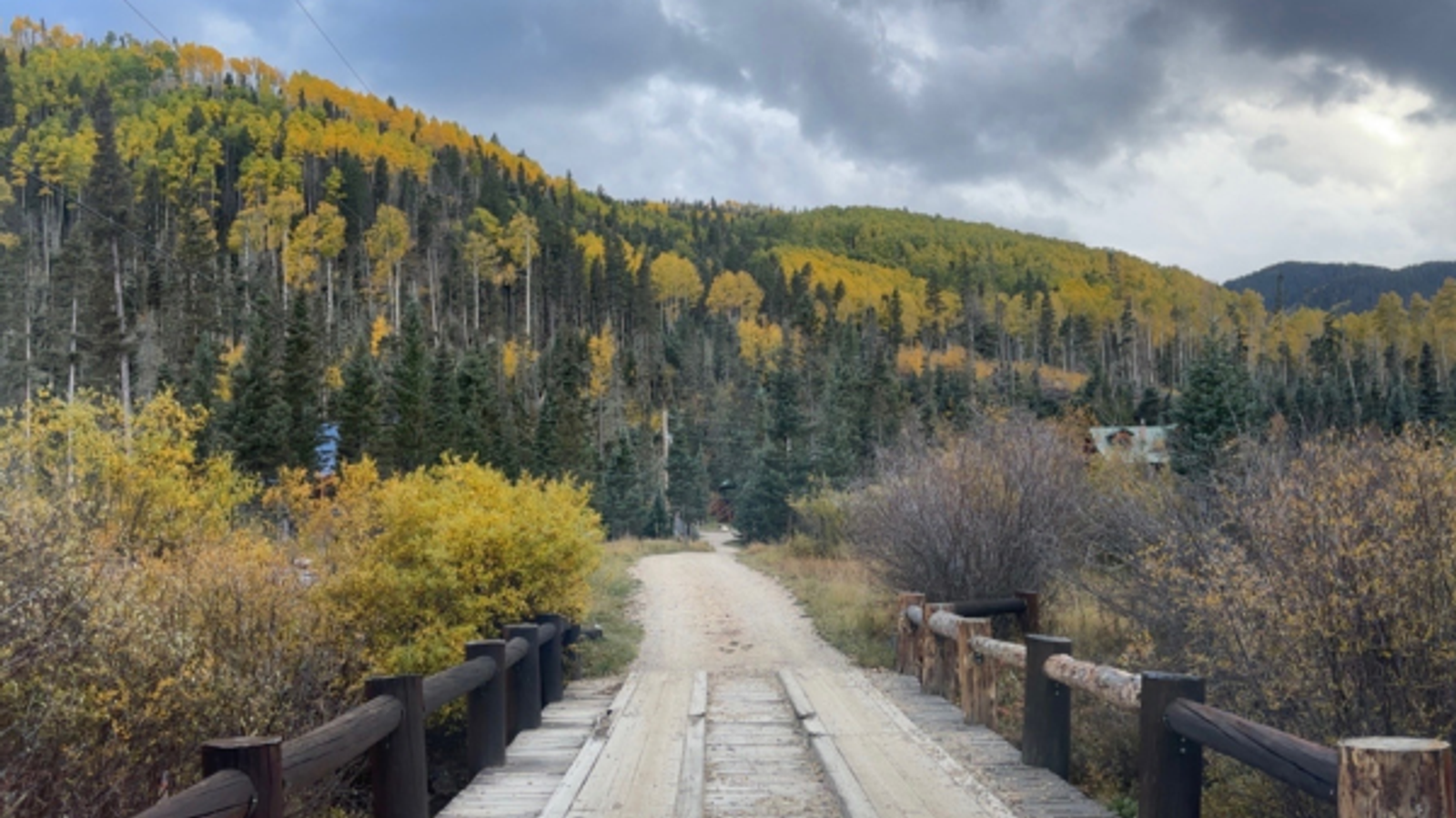 Fall Foliage in Red River: Best Places and Dates to Catch the Colors