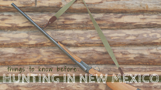Things to Know Before Hunting in New Mexico