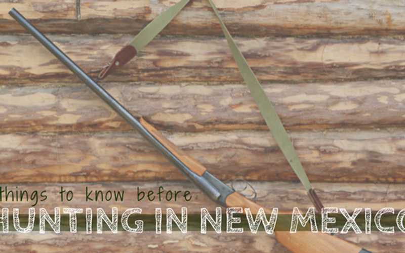 Things to Know Before Hunting in New Mexico