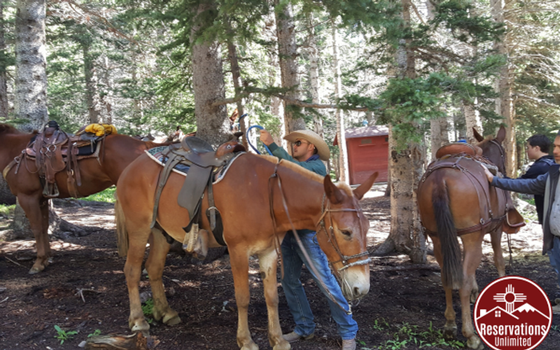 Horseback Riding in Red River, NM
