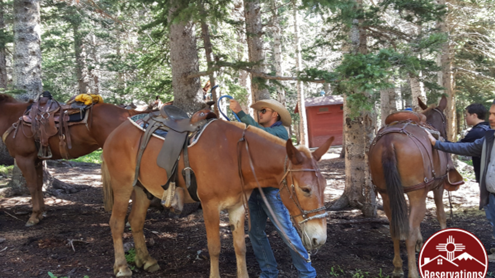 Horseback Riding in Red River, NM