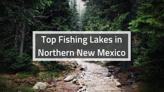 Top Fishing Lakes in Northern New Mexico