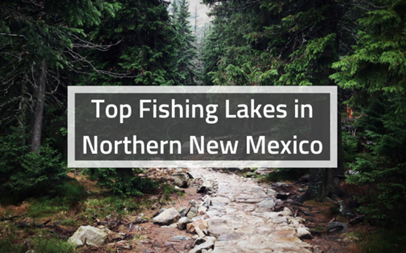 Top Fishing Lakes in Northern New Mexico