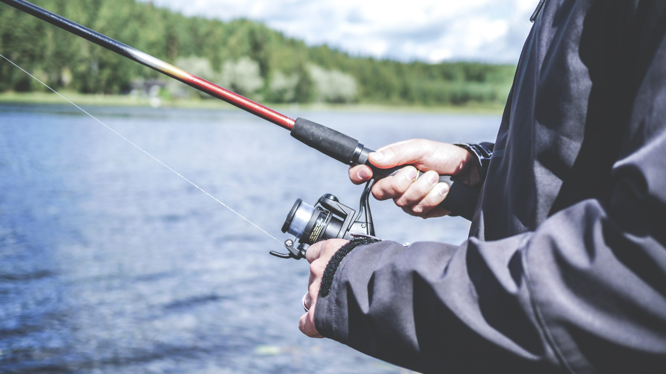 A Trip To Questa For Trout