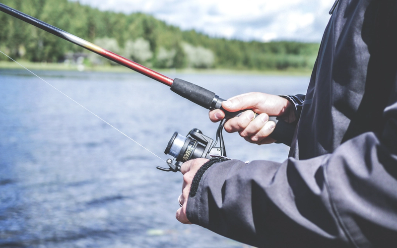 A Trip To Questa For Trout