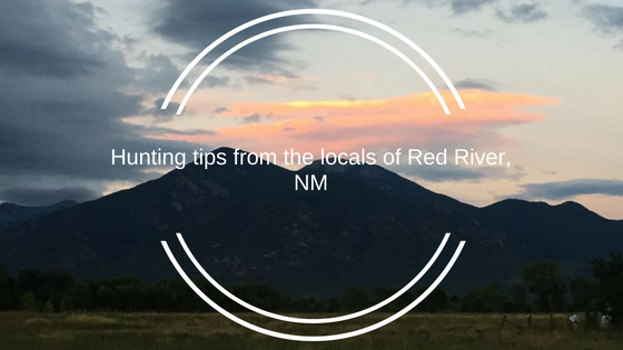 Hunting Tips from the Locals